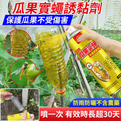 防雨防曬瓜果實蠅誘黏劑