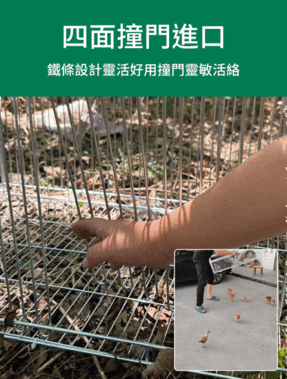 【只進不出】戶外多用途捕籠