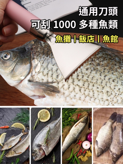 新款不鏽鋼304去魚鱗刮魚鱗神器