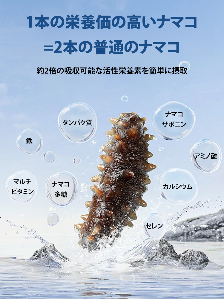 【北海道セレクト・13倍戻し率】道産乾燥ナマコ