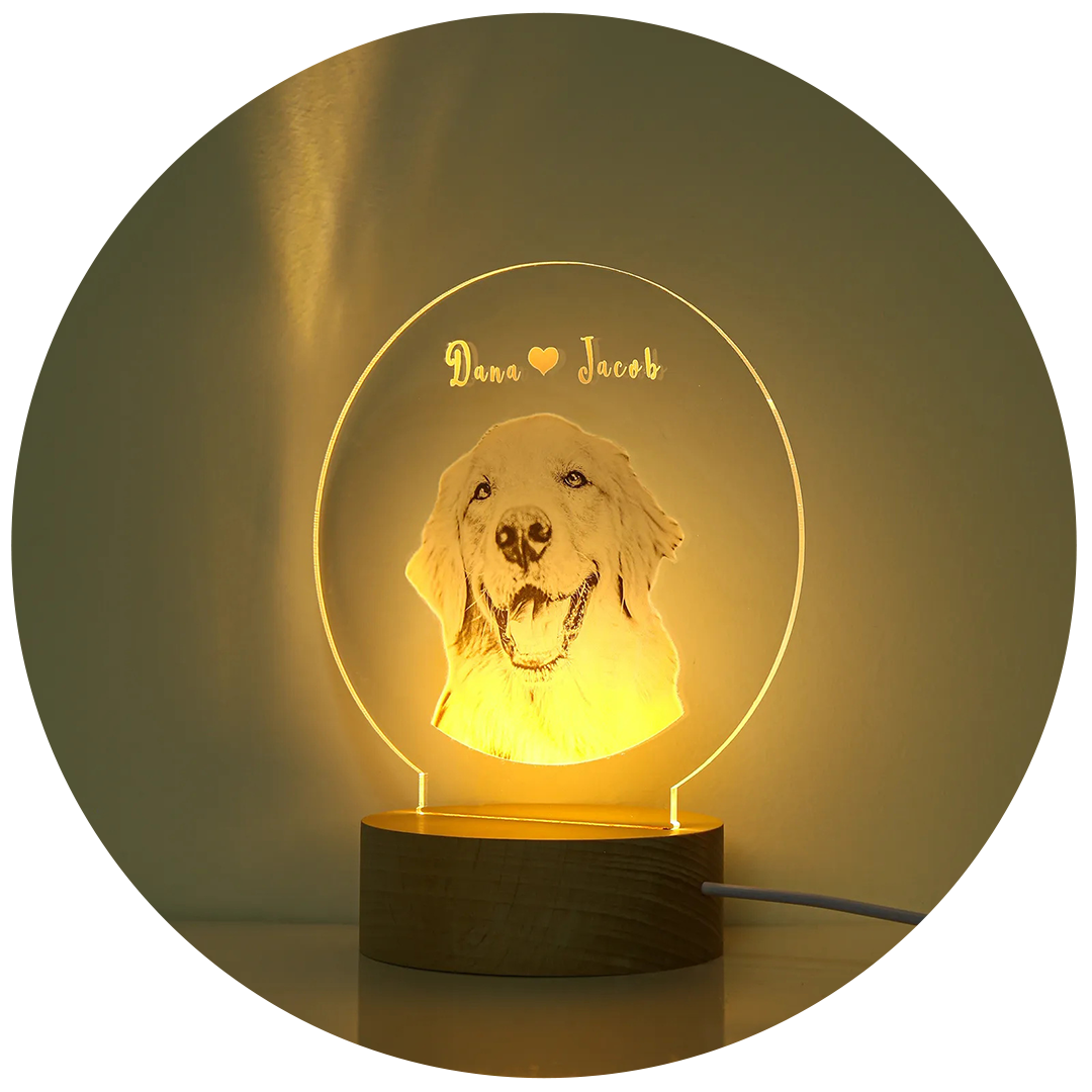 Photo Night Light