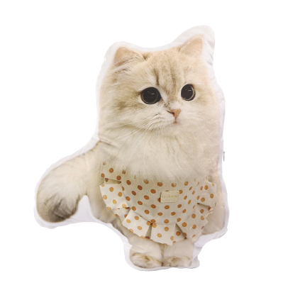 Custom 3D Pet Pillow Personalised Photo Pillow Custom Shape Double Printed Cotton Pillow-Jessemade AU