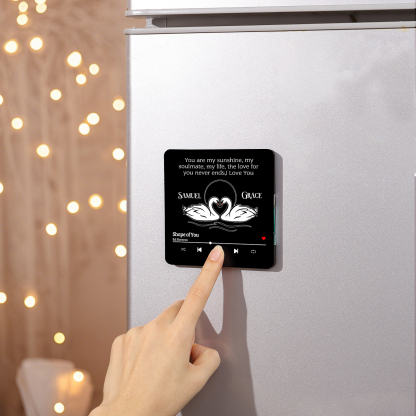 Personalised Fridge Magnet 2 Swans You are My Sunshine Romantic Music Plaque with Customised Names & Song