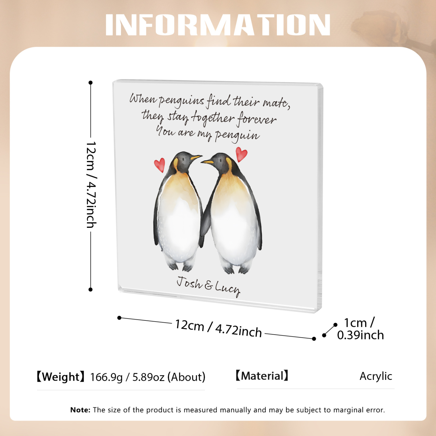Personalised Acrylic Plaque 2 Penguins Holding Hands Valentine’s Day Gift for Her