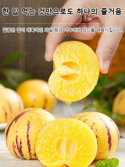 [100일 숙성] 우유향 황금 페피노 멜론 씨앗