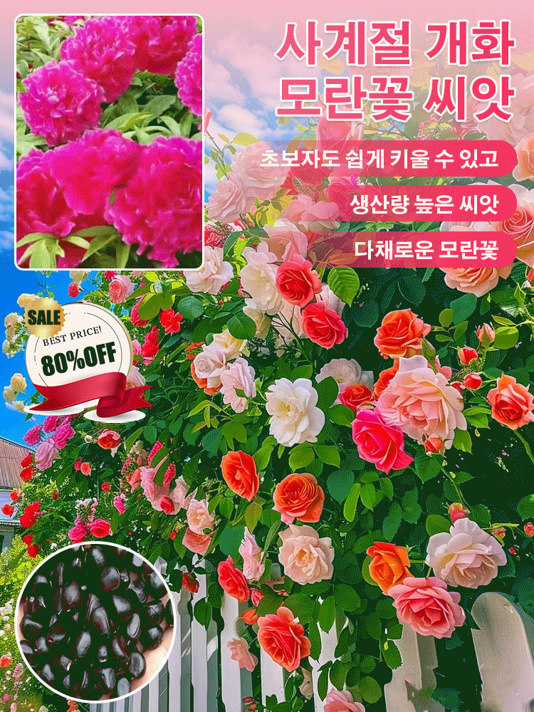 [높은 생존율] 고품질 모란꽃 씨앗