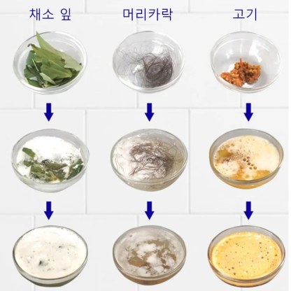 배수구 세정제 막힘이 말끔히 해결