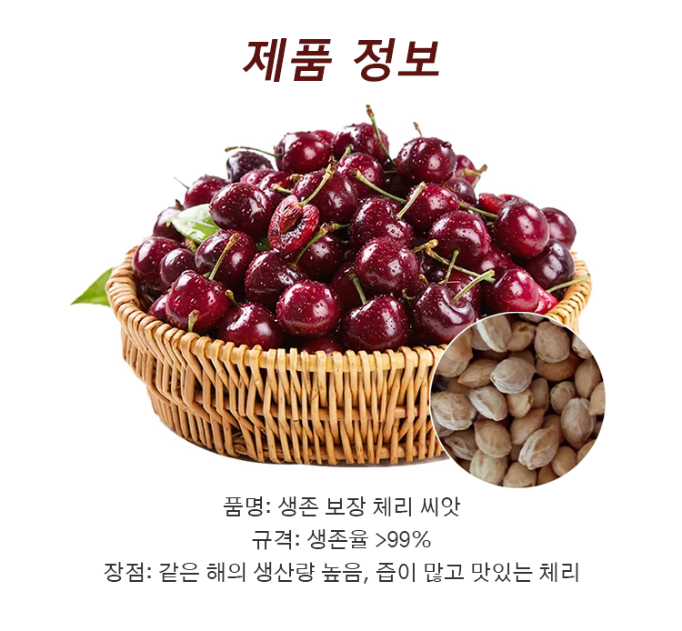 图层 28.png