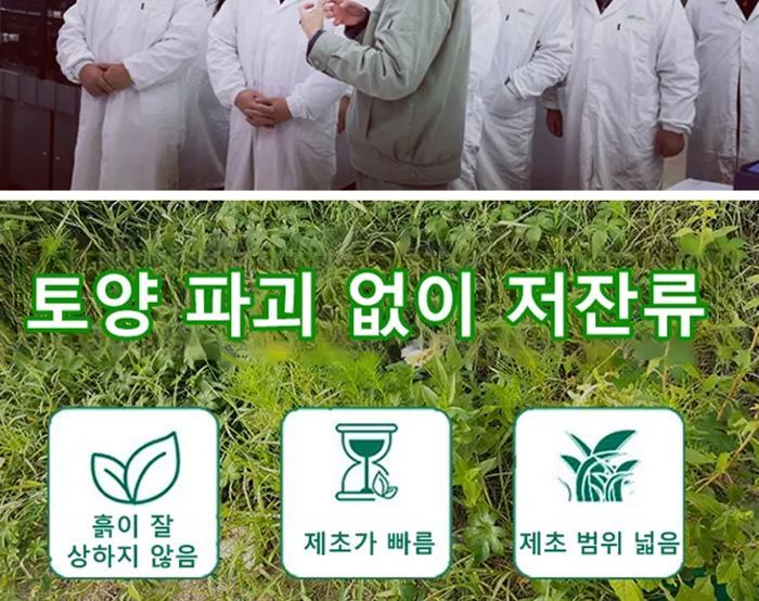 잡초제거 강력 제초제
