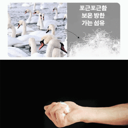 남성용 후드 패딩+긴바지 세트