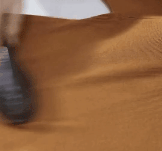 1.gif