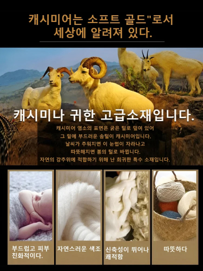 남성용 라운드넥 맨투맨