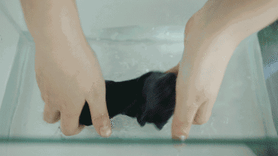 未标题-1_25.gif