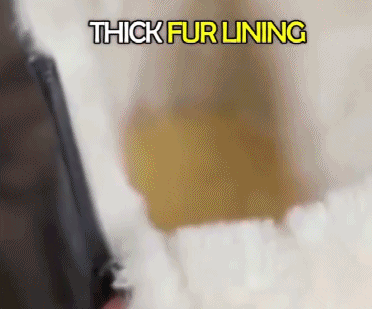 1_07.gif