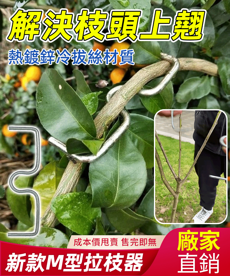M型果樹拉枝器定型器