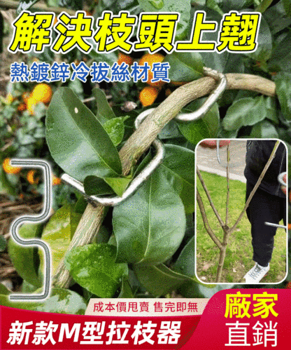 M型果樹拉枝器定型器