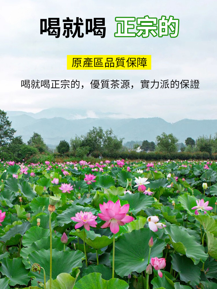 頭茬新鮮蓮子心茶