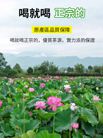 頭茬新鮮蓮子心茶