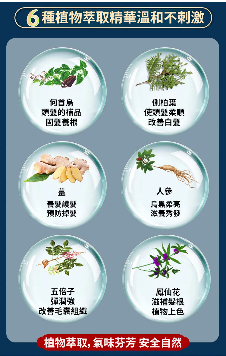 翻译件-SL-非遗传承植物染发膏-1202496-系统_16.jpg