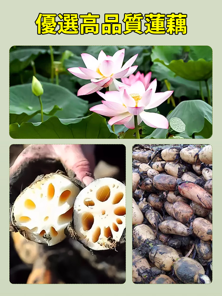 西湖純藕粉