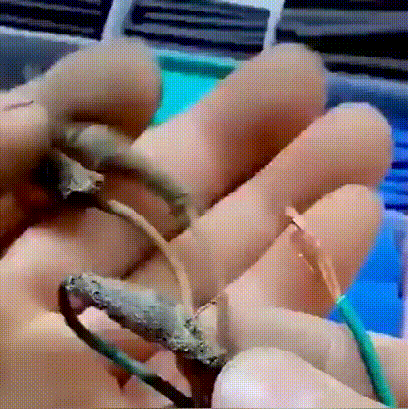 9ec6da99e2b66ec264326b4a47414f28.gif