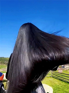44.gif