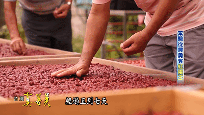 e9682798-ef4a-4ce4-8959-1fbb1ad6b622.gif