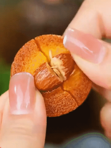 5.gif