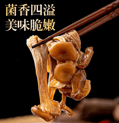 【煲湯炒菜下飯必備】山珍海味鹿茸菇