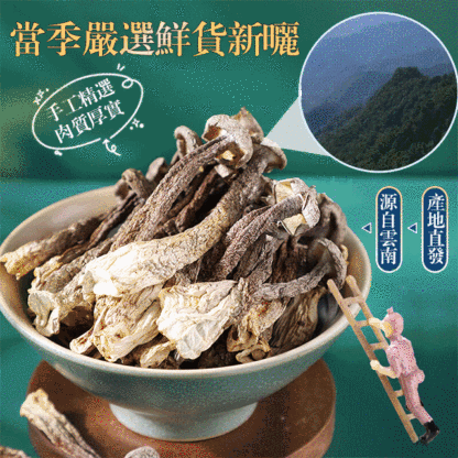 【煲湯炒菜下飯必備】山珍海味鹿茸菇
