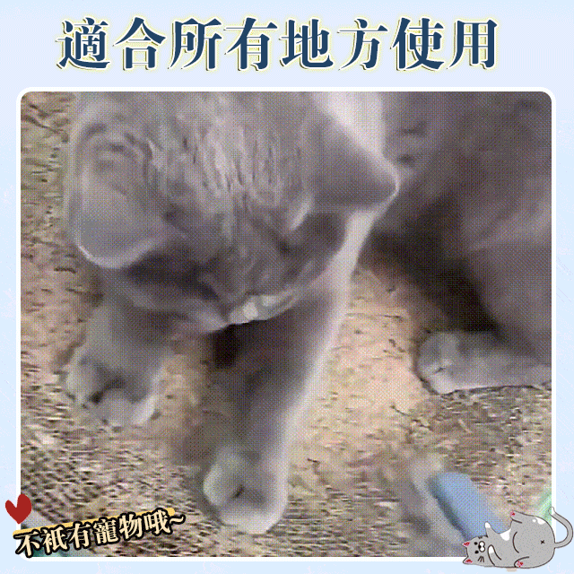 多功能刷毛器