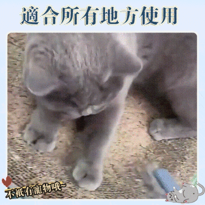 多功能刷毛器