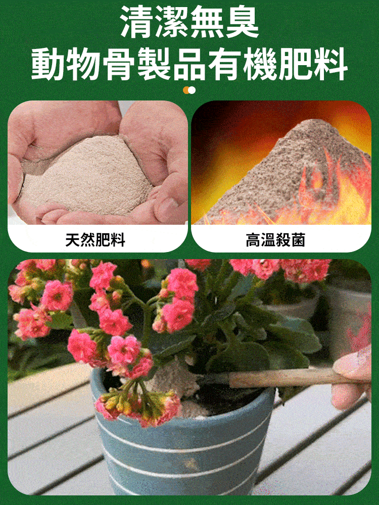 高效生長園藝骨粉植物特製有機肥