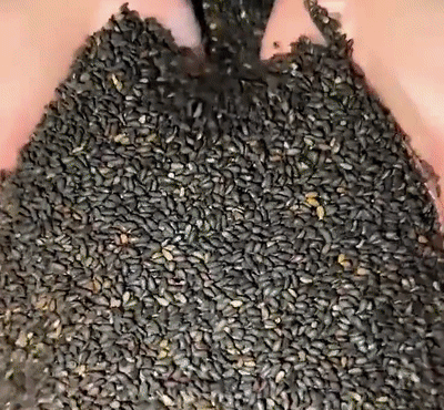 04.gif