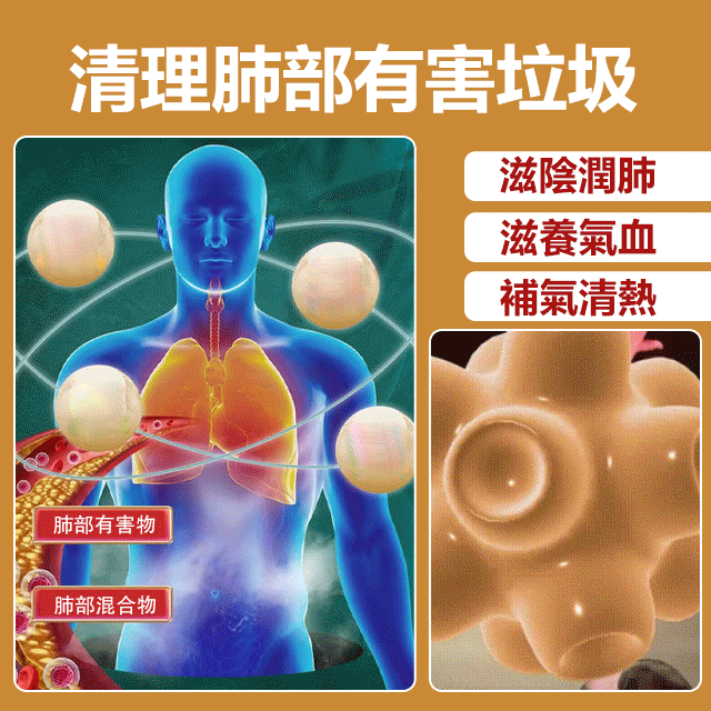 竹鹽老樹枇杷幹