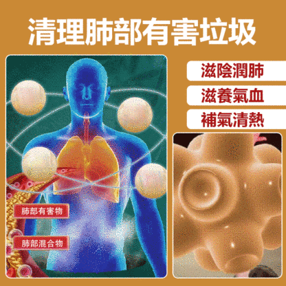 竹鹽老樹枇杷幹