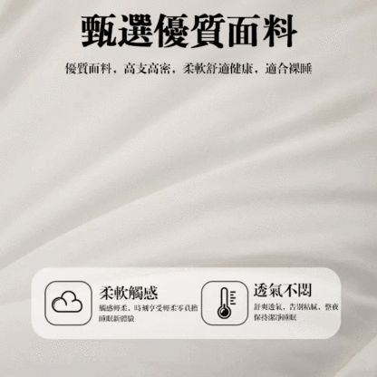 雙層二合一酣睡護頸枕芯