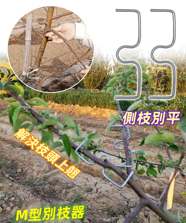 M型果樹拉枝器定型器