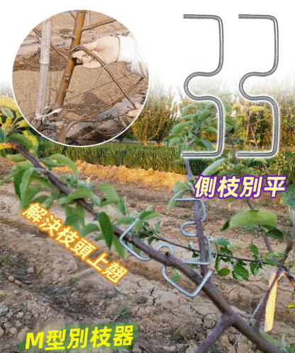 M型果樹拉枝器定型器