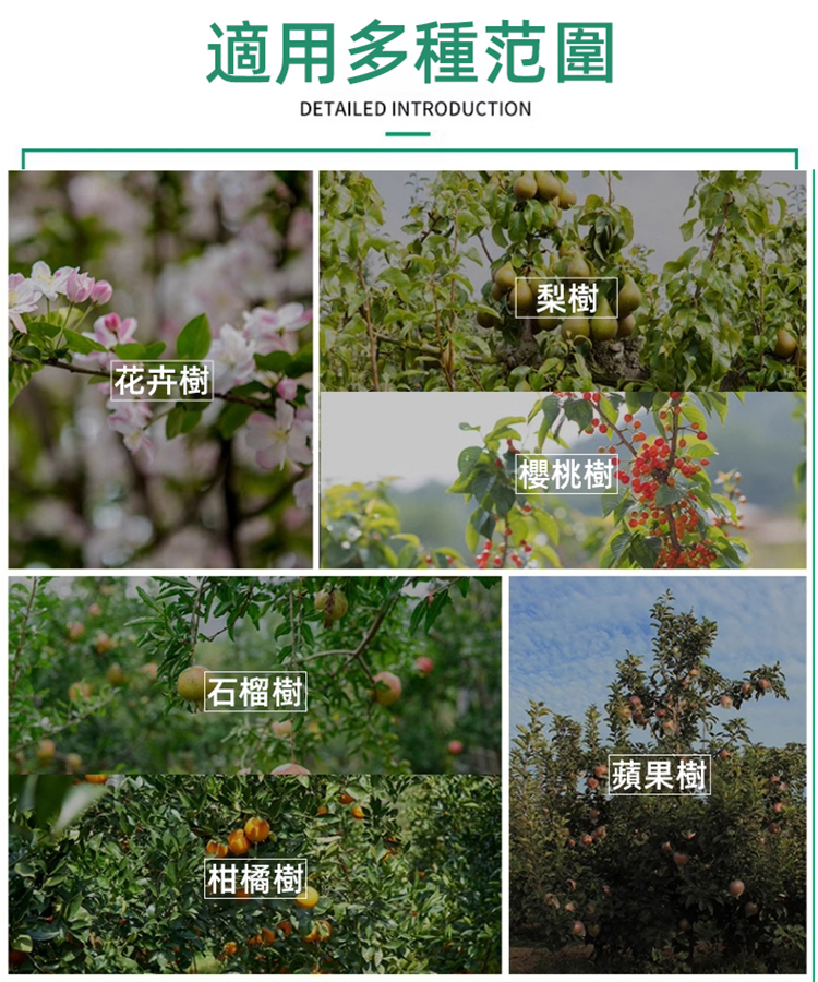 M型果樹拉枝器定型器