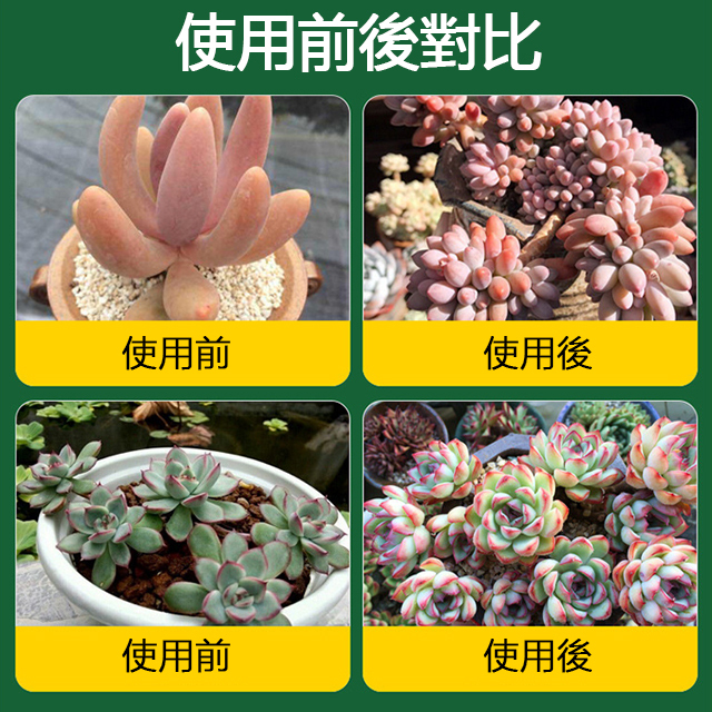 【爆長】優芽素