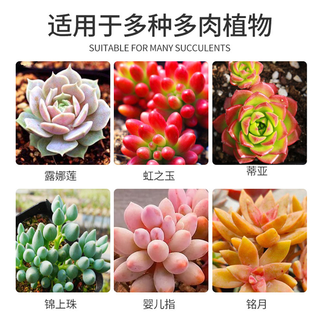【爆長】優芽素