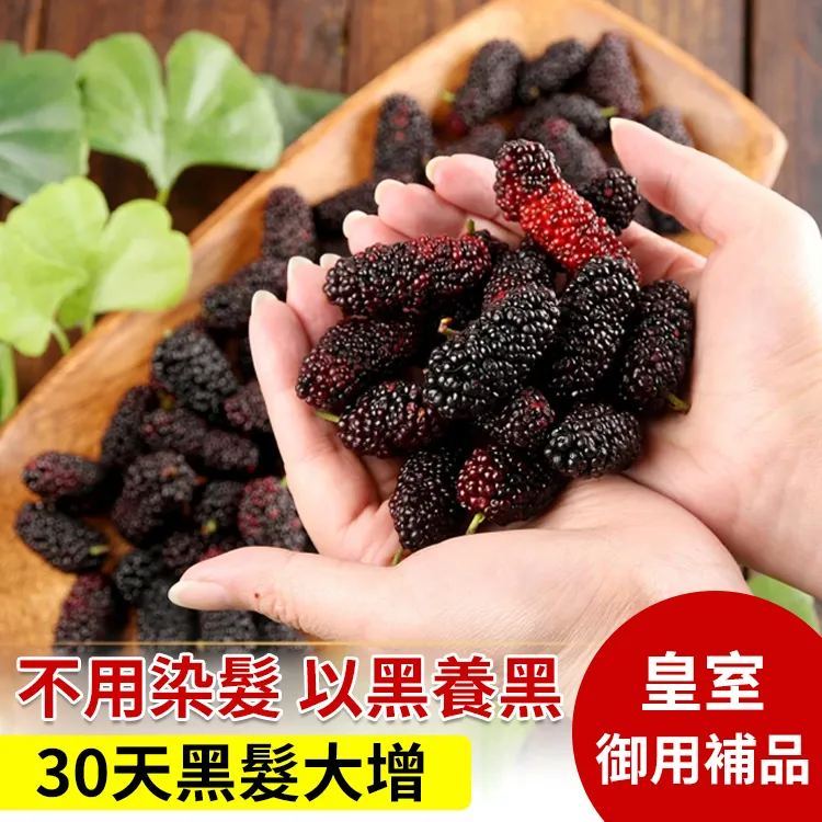 天然野生桑葚果