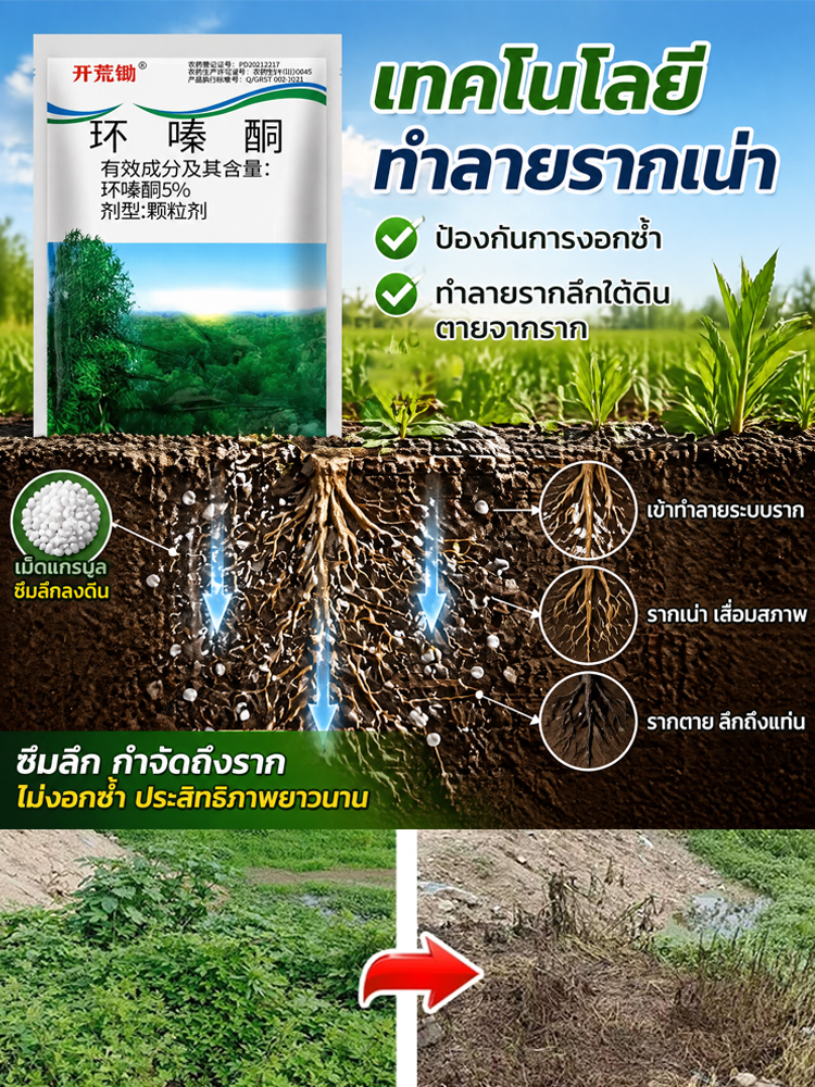 ยากำจัดวัชพืชแบบเม็ด | หญ้าตายยันรากแก้ว | ปลอดภัยต่อพืชปลูก