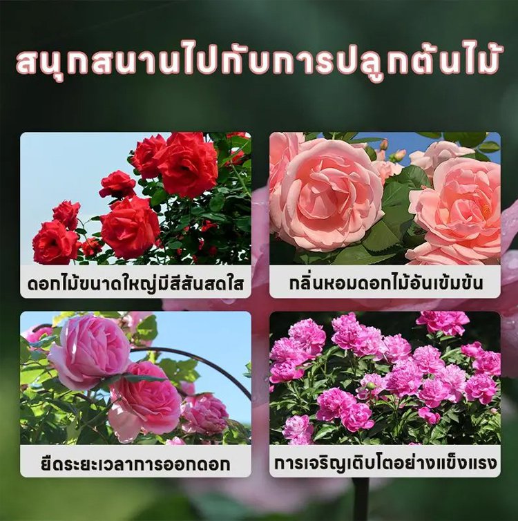 翻译件-HFH-【花苞满枝】花卉专用肥料-1322122_17.jpg