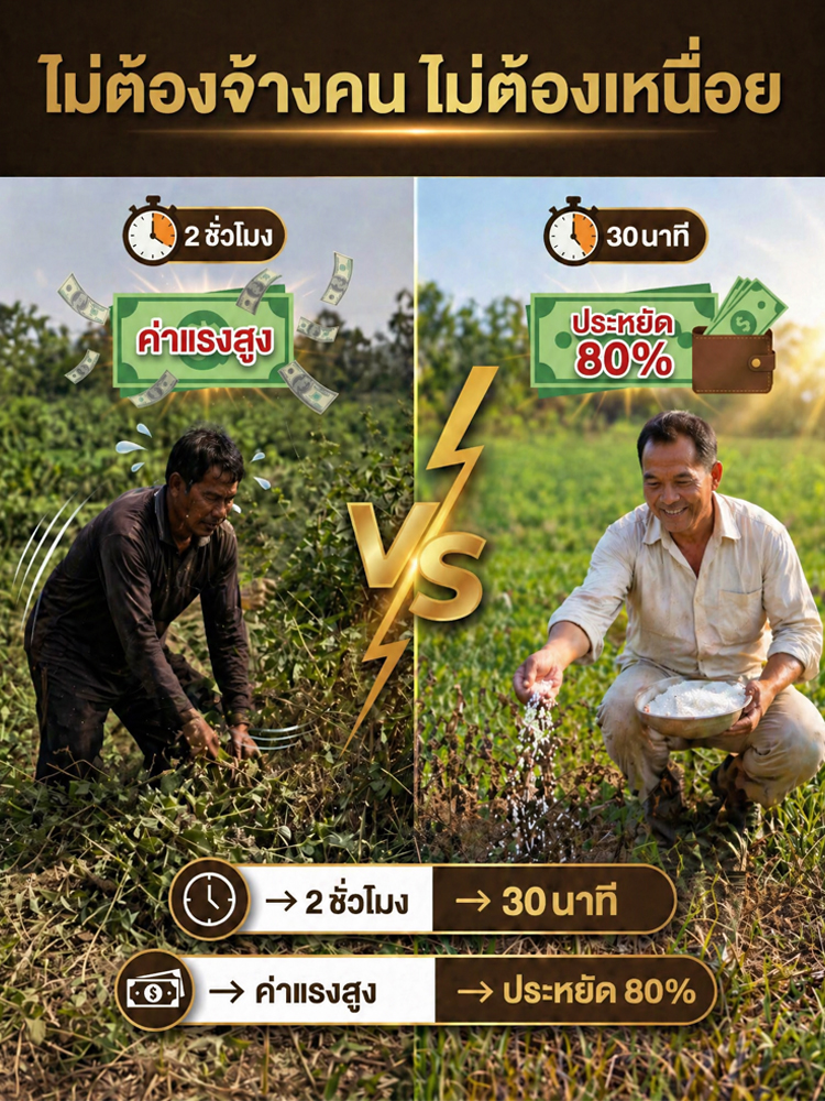 ยากำจัดวัชพืชแบบเม็ด | หญ้าตายยันรากแก้ว | ปลอดภัยต่อพืชปลูก