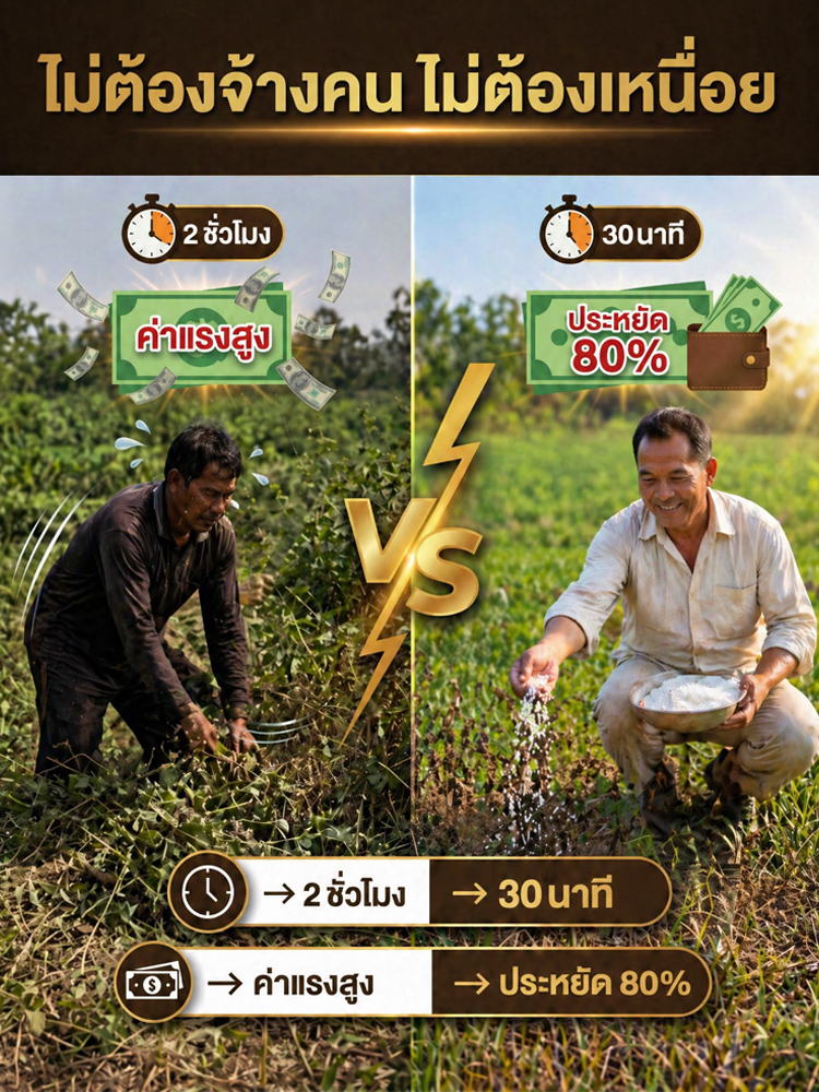 ยากำจัดวัชพืชแบบเม็ด | หญ้าตายยันรากแก้ว | ปลอดภัยต่อพืชปลูก