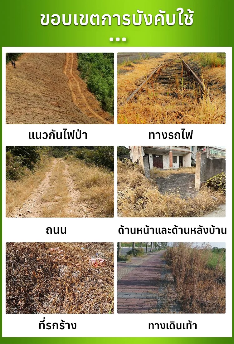 农药_29.jpg
