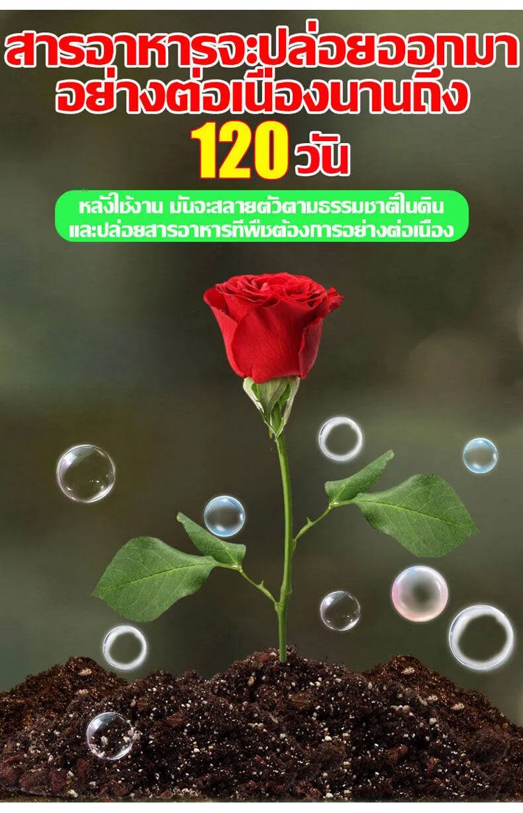 翻译件-HFH-【花苞满枝】花卉专用肥料-1322122_12.jpg