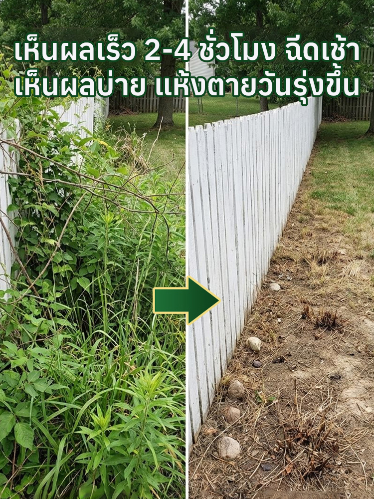 ยากำจัดวัชพืชแบบเม็ด | หญ้าตายยันรากแก้ว | ปลอดภัยต่อพืชปลูก